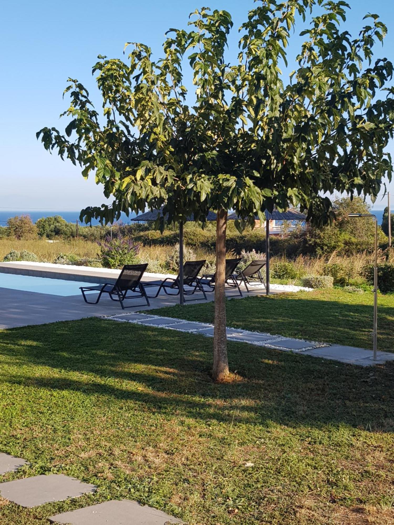 Alberi - Izla Homes Skala  Dış mekan fotoğraf